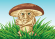 Mashroom. Vector illustration. Mashroom. Vector illustration.