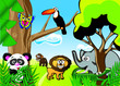 Jungle