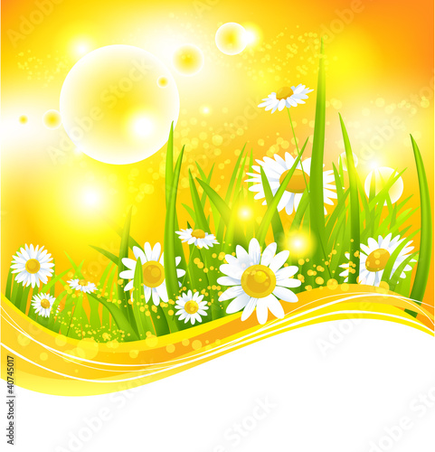 Vector: Sunny summer background Sunny summer background