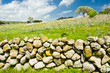 Sardegna rurale