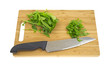 Arugula on cutting board with knife