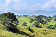 Hobbiton Movie Set and Farm