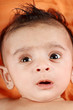 Baby boy with orange background Baby boy with orange background