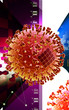 Avain virus