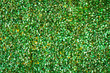 The green grass has faded