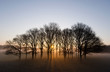 misty morning