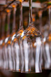 Lots of wine glasses