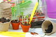 Start in das Gartenjahr