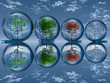 season trees