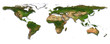 World map