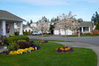 Some family houses in a suburban area.