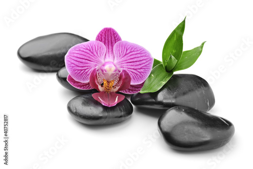 Photo: orchid orchid