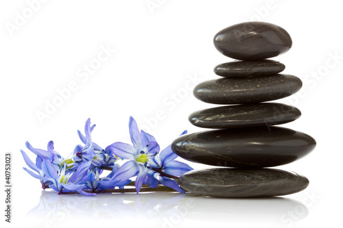 Photo: black stones and blue flowers black stones and blue flowers