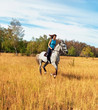 Girl on a horse