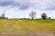 Dutch field and stormy sky Dutch field and stormy sky