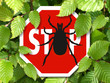 Stopschild Zecke