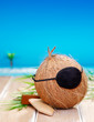 Coconut Pirate