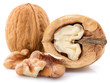 walnuts