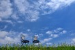 青空と椅子のある風景　B
