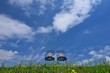 青空と椅子のある風景　C