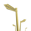 Success way isolate on white Background