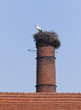 canvas print picture - Storchennest auf einem Schornstein