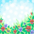 Flowers pansies and sky, background
