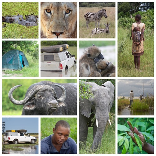 Photo: African landscape, people and animals African landscape, people and animals