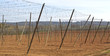 hope field