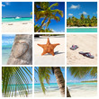 Photo: Tropical collage Tropical collage