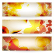 Set of grunge banners with butterflies.