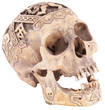 skull - Totenkopf