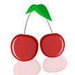 cherry in red vector illustration cherry in red vector illustration