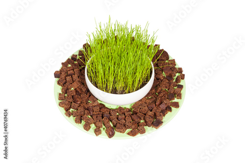 Photo: Bread cracker on plate isolated Bread cracker on plate isolated