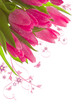 flower background