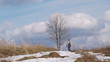 Shooting a lone tree in springtime