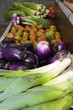 summer fruit-vegetables-vegetables shop summer fruit-vegetables-vegetables shop