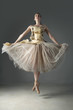 Ballet dancer posing in ornate skirt