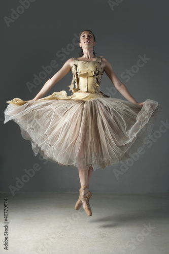 Photo: Ballet dancer posing in ornate skirt Ballet dancer posing in ornate skirt