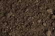 close-up of a soil