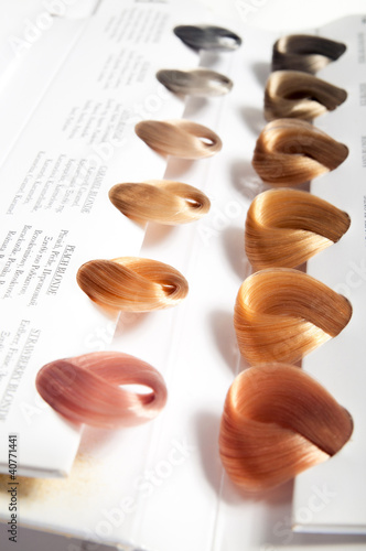 Photo: Locks of hair dyed in various shades. Locks of hair dyed in various shades.