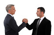 Partners handshaking