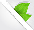 Background with leaves