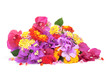 spring flowers