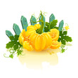 Golden pumpkin.