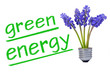 green energy  #120418-004