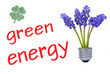 green energy  #120418-003