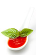 salsa di pomodoro con basilico