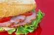 Sandwich with tenderloin