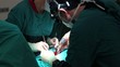 surgical series 7